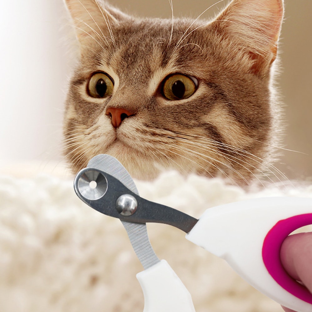 Special Small Blind Cat Nail Clippers Safe Gentle Pet Nail Care