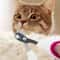 Special Small Blind Cat Nail Clippers Safe Gentle Pet Nail Care