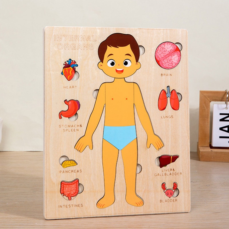 Montessori Human Body Puzzle Busy Board For Toddlers Early Learning Game 7