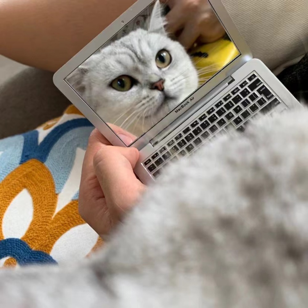 Interactive Mini Dollhouse Laptop Toy For Cats Tiny Fake Computer Mirror For Kitten Play 2