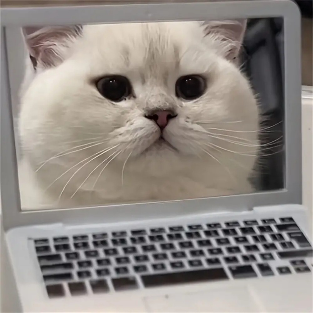 Interactive Mini Dollhouse Laptop Toy For Cats Tiny Fake Computer Mirror For Kitten Play 3