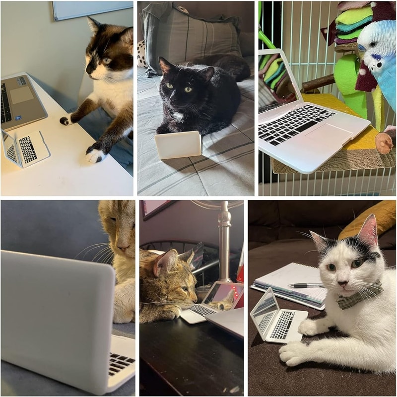 Interactive Mini Dollhouse Laptop Toy For Cats Tiny Fake Computer Mirror For Kitten Play 4