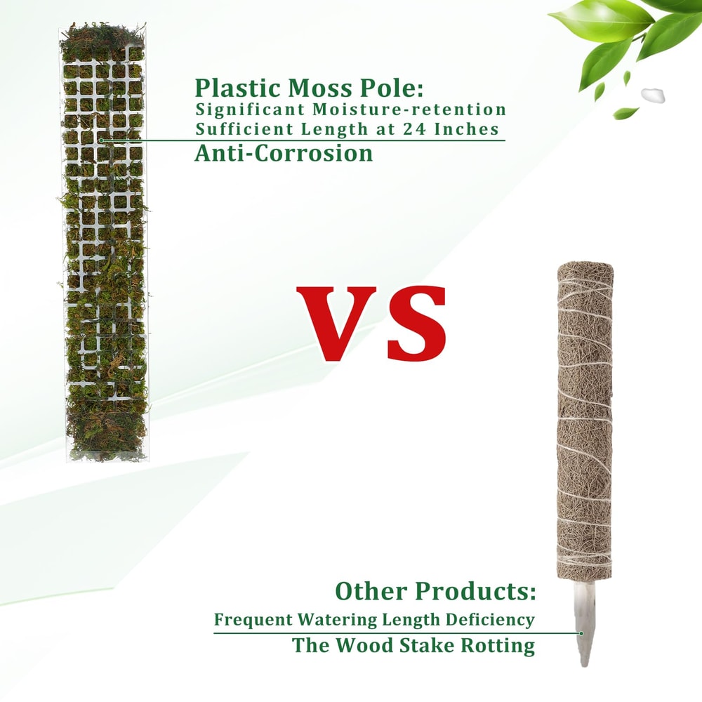Moss Pole For Indoor Plants Plant Stand For Climbing Plant Growth 1