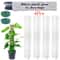Moss Pole For Indoor Plants Plant Stand For Climbing Plant Growth 7