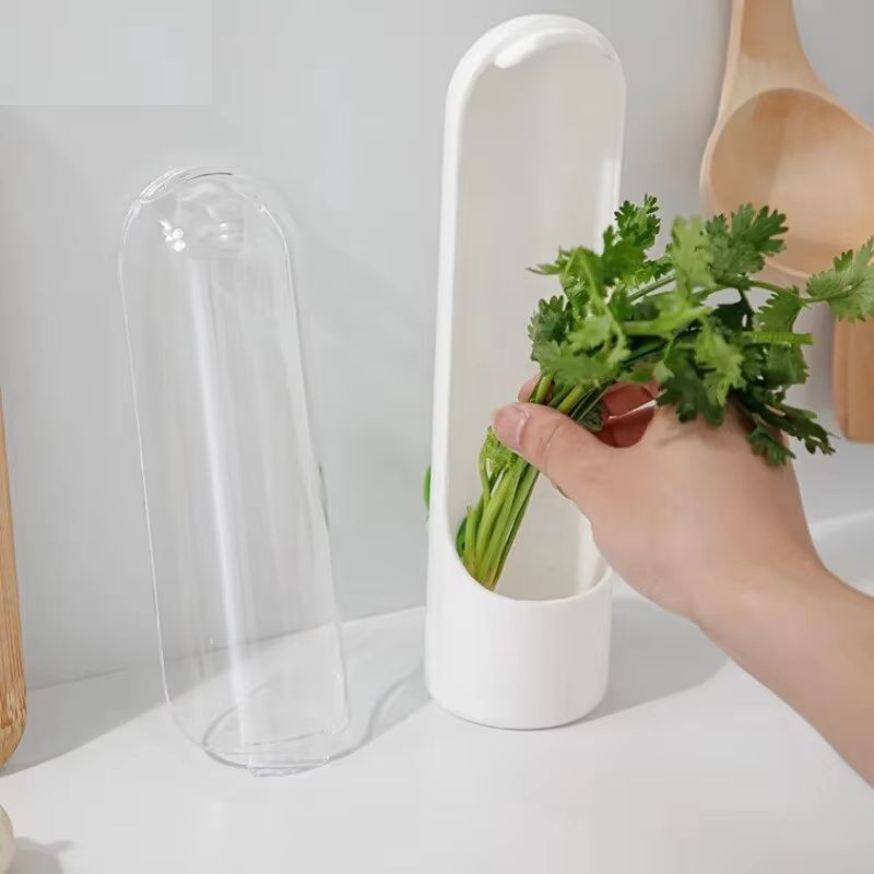 Vanilla Vegetable Freshkeeping Box Dustproof Antipressure Environmental Protection Freshkeeping Dev 2