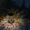 Vintage Metal LED Solar Lantern Outdoor Waterproof Hanging Tree Garden Lights