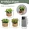 Faux Greenery For Home Decor Potted Eucalyptus Plant For Elegant LowMaintenance Spaces 5