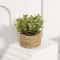 Faux Greenery For Home Decor Potted Eucalyptus Plant For Elegant LowMaintenance Spaces 8