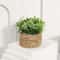 Faux Greenery For Home Decor Potted Eucalyptus Plant For Elegant LowMaintenance Spaces 6