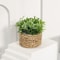 Faux Greenery For Home Decor Potted Eucalyptus Plant For Elegant LowMaintenance Spaces 6