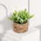 Faux Greenery For Home Decor Potted Eucalyptus Plant For Elegant LowMaintenance Spaces 7