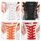 Elastic No Tie Shoe Laces For Sneakers Press Lock Shoelaces For Kids And Adults 4