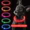 USB Rechargeable LED Dog Collar For Night Safety And Visibility 0