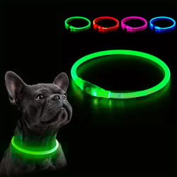 usb rechargeable led dog collar for night safety and visibility