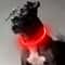 USB Rechargeable LED Dog Collar For Night Safety And Visibility 5
