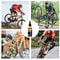Bicycle Special Lubricant Chain Oil for MTB and Road Bikes Dry Lube for Fork, Flywheel, and Chain Cycling Accessories