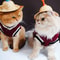 Warm Cozy Cat Small Dog Pet Clothes Fleece Cat Sweater Hoodie Puppy Vest Outfit for Christmas Winter