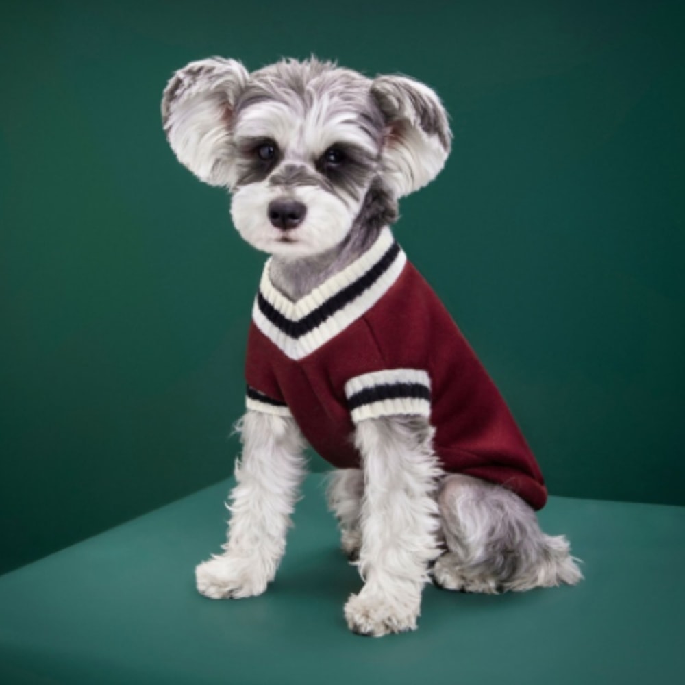 Warm Cozy Cat Small Dog Pet Clothes Fleece Cat Sweater Hoodie Puppy Vest Outfit for Christmas Winter