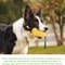 Ultimate Heavy Duty Dog Chew Toy Indestructible Dog Bone For Aggressive Chewers Dental Care 4