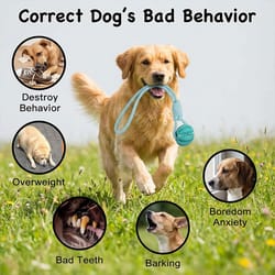 interactive dog tug toy with rubber ball durable rope training toy for small medium dogs