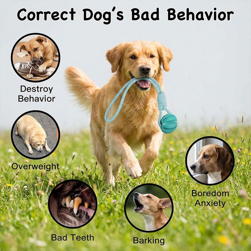 Interactive Dog Tug Toy with Rubber Ball Durable Rope Training Toy for Small Medium Dogs