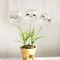 Crystal Clear Self Watering Plant Bulbs Automatic Plant Watering Spikes for Effortless Indoor Irrigation