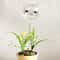Crystal Clear Self Watering Plant Bulbs Automatic Plant Watering Spikes for Effortless Indoor Irrigation
