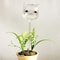 Crystal Clear Self Watering Plant Bulbs Automatic Plant Watering Spikes for Effortless Indoor Irrigation