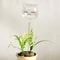 Crystal Clear Self Watering Plant Bulbs Automatic Plant Watering Spikes for Effortless Indoor Irrigation