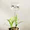 Crystal Clear Self Watering Plant Bulbs Automatic Plant Watering Spikes for Effortless Indoor Irrigation