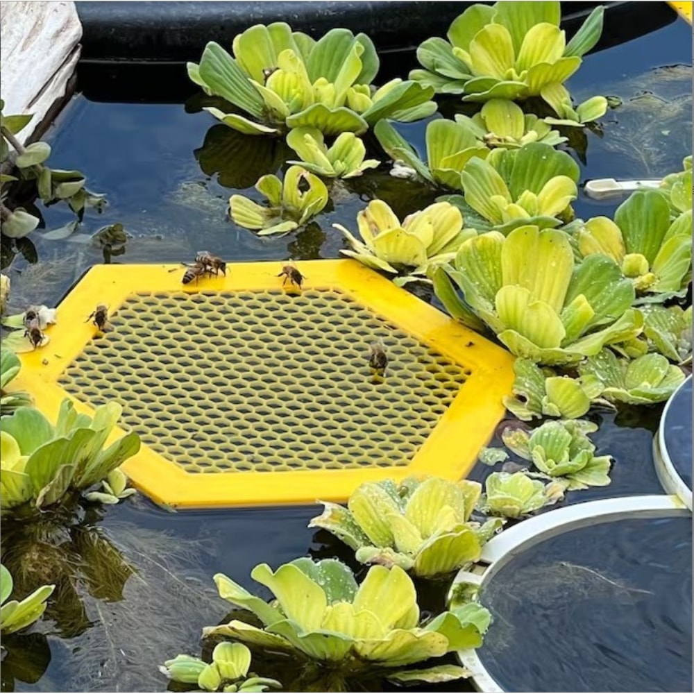 Premium Floating Bee Waterer Island Hexagonal Beekeeping Water Station for Safe Bee Hydration