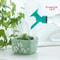Sunflower Automatic Watering Nozzle For Succulent Garden Plants 1