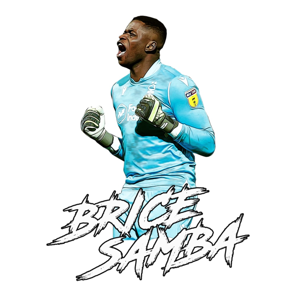 Brice Samba Artwork .png