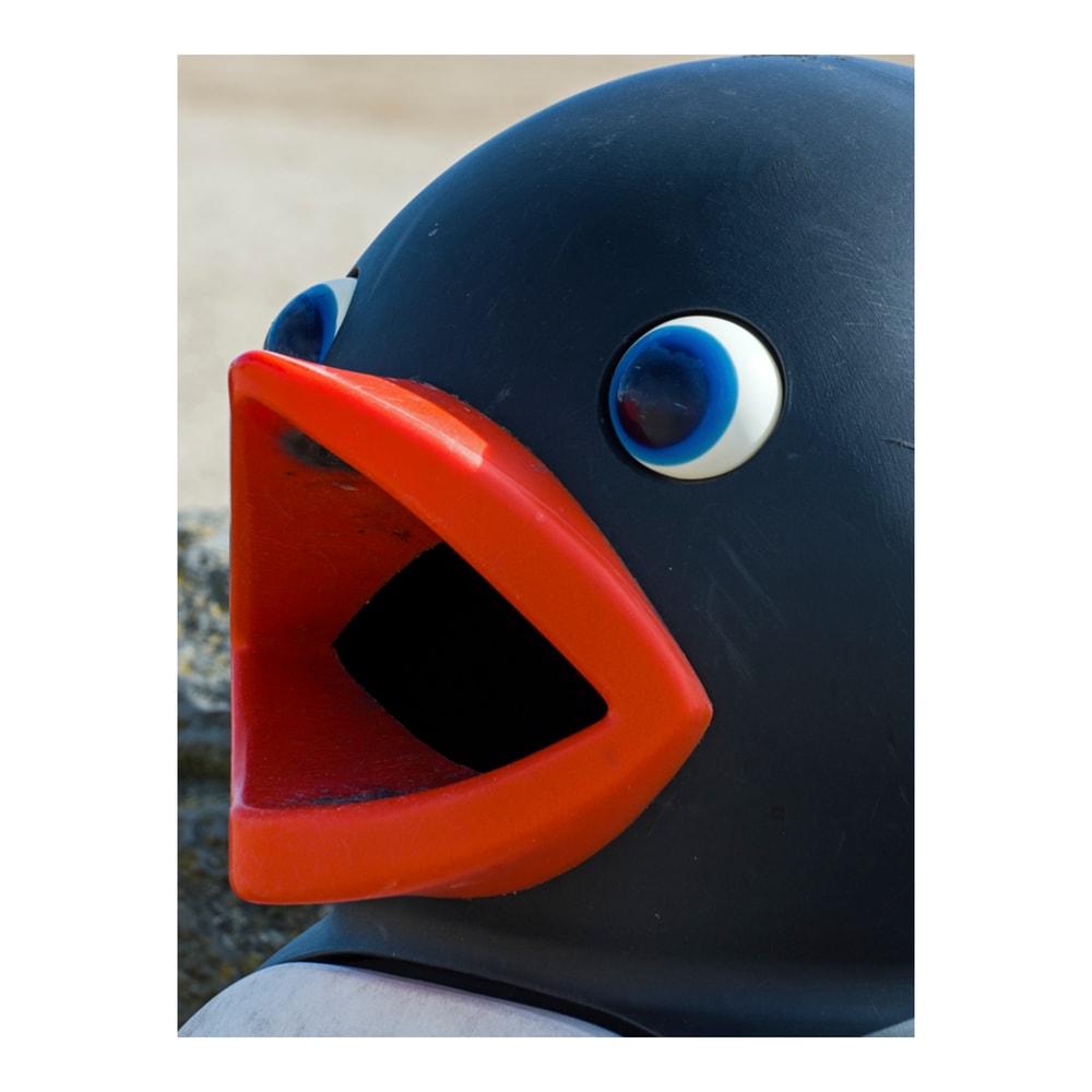 Pingu on the seafront at Barry Island. Pingu is a very effective litter bin and loves it when childr.png