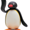 Pingu says hello .png
