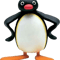 pingu! .png