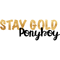 Stay Gold Ponyboy .png