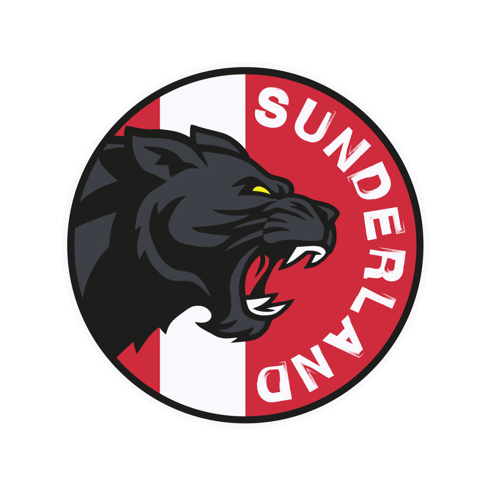 Sunderland Black Cat  .png