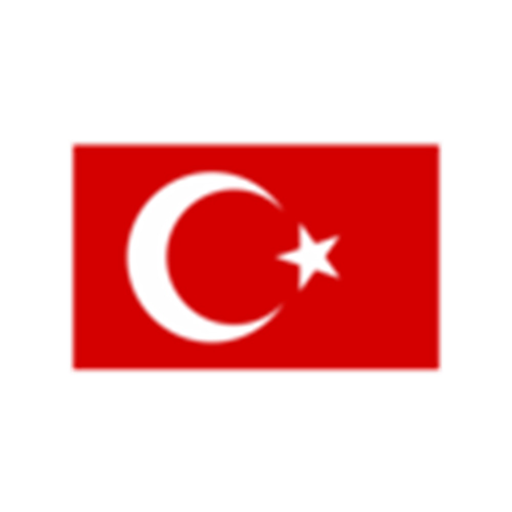 Turkey flag .png