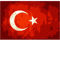 Turkiye Turkey Flag Shirt Turkish Flag .png