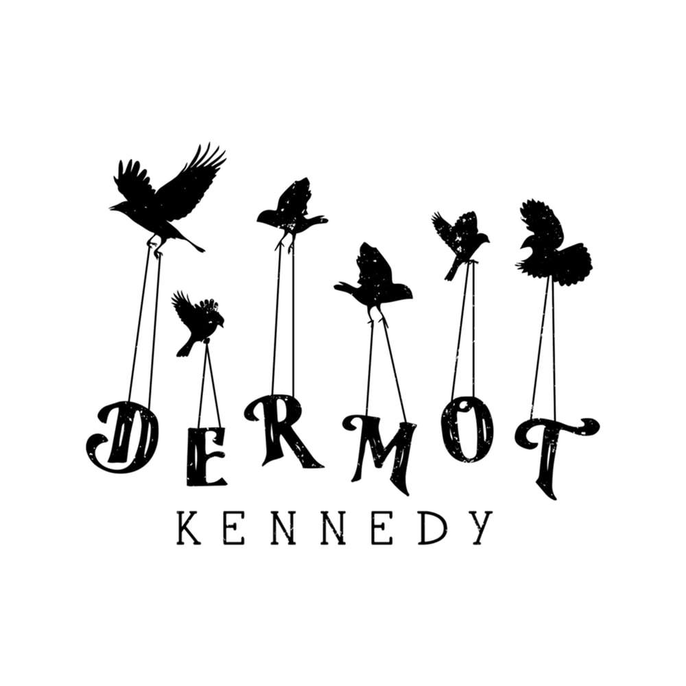 Dermot Kennedy Birds Puppeteer Silhoette, Hot Search .png