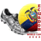world cup Ecuador 2022,world cup football .png