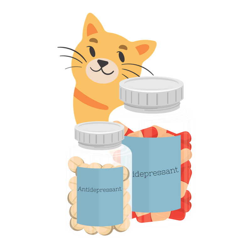 Antidepressant Cat .png