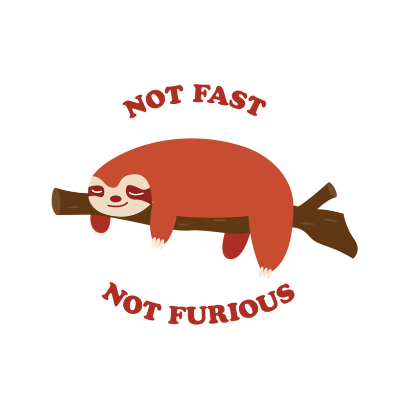 not fast not furious sloth Ella's shirt .png