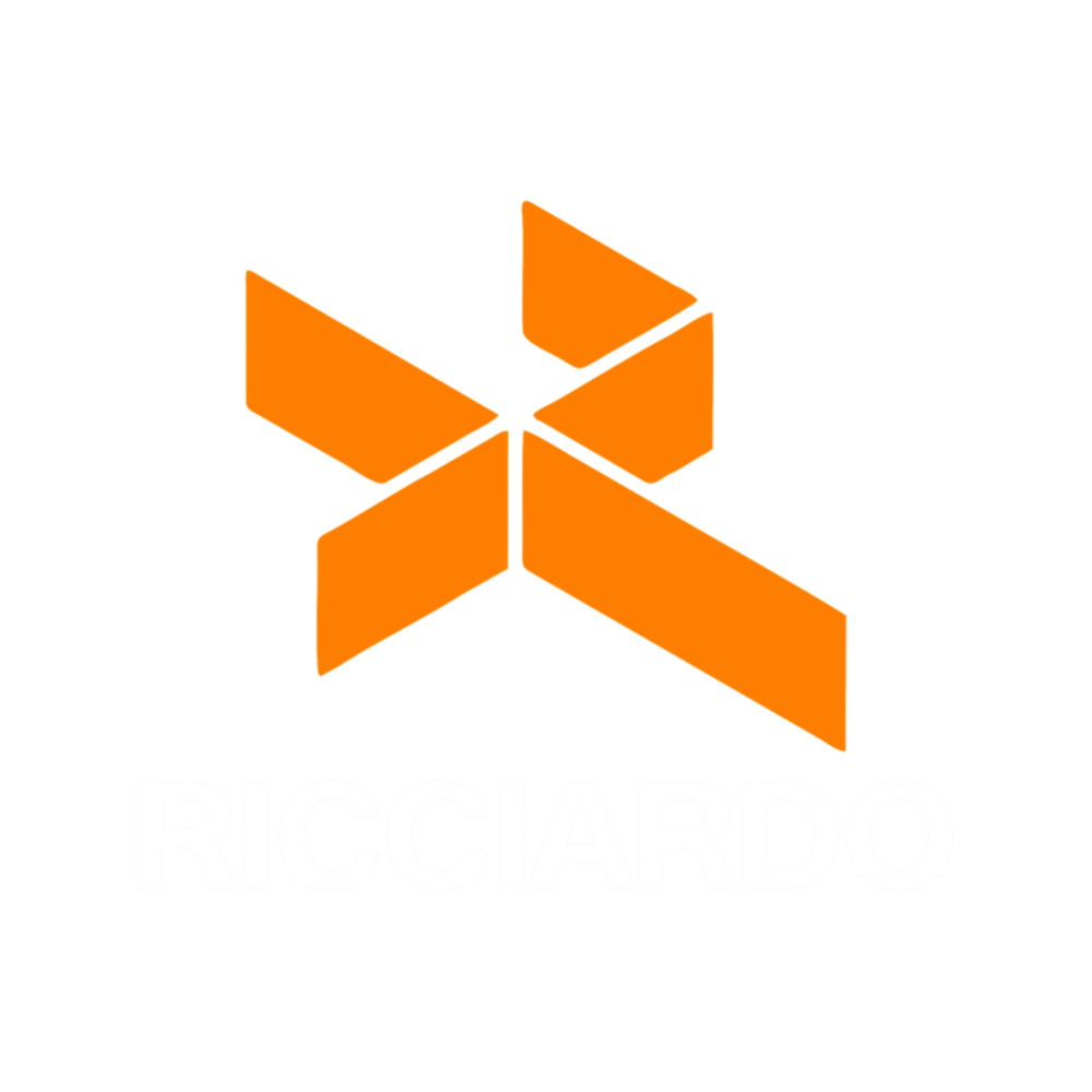 Best Selling - Daniel Ricciardo Logo Merchandise .png