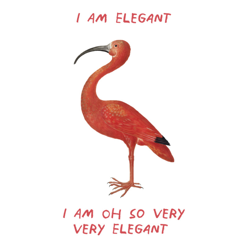 I Am Elegant, I Am Oh So Very Very Elegant .png