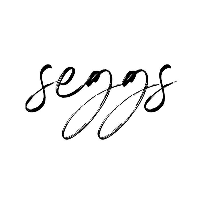 Seggs Long Sleeve .png