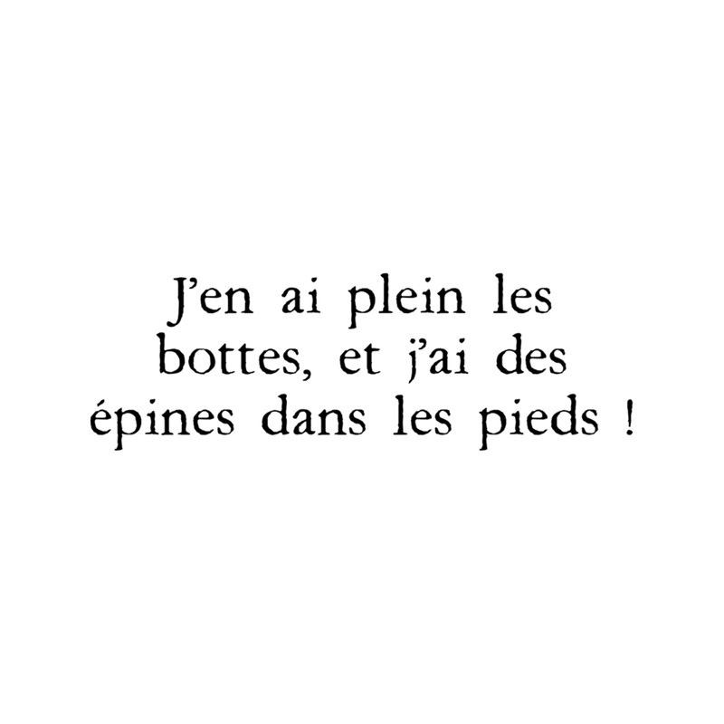 Lancelot - My boots are full of them, and I have thorns in my feet! .png