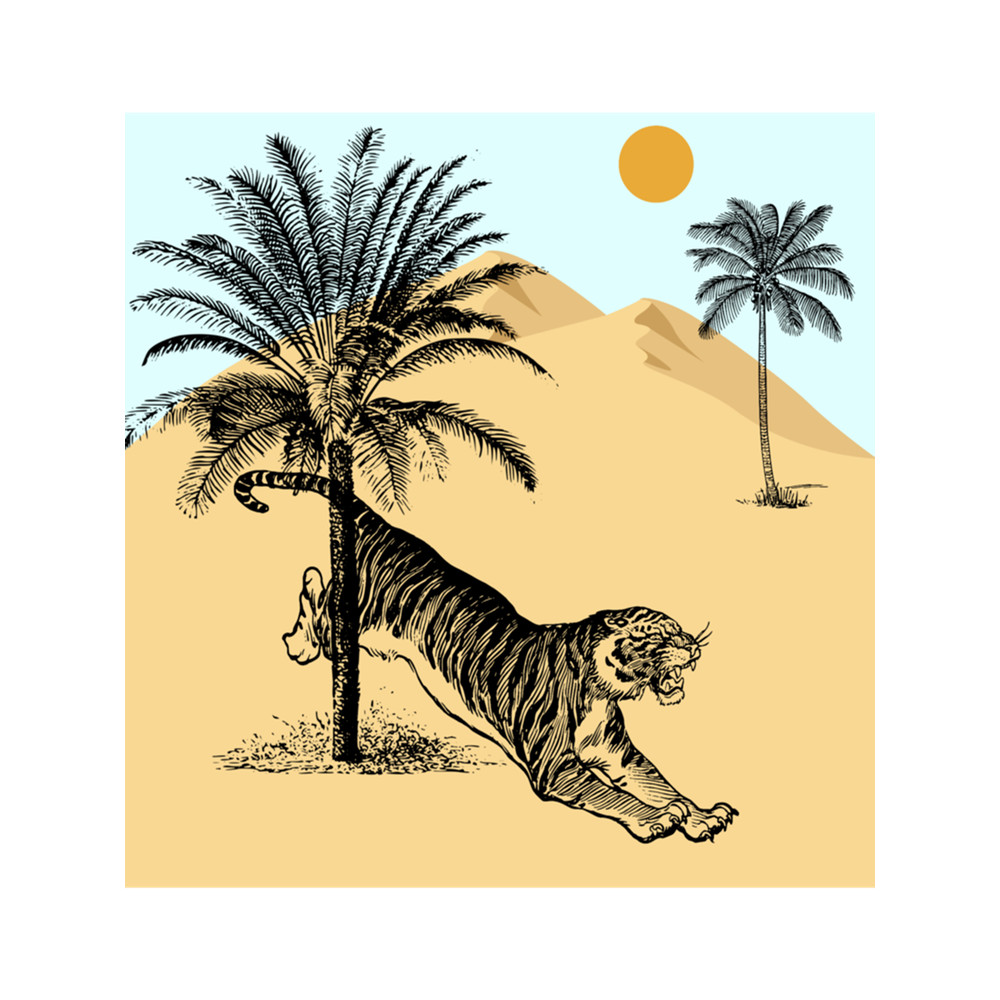 A Tiger In The Hot Palm Desert,Lovers Big Cats Tigers .png