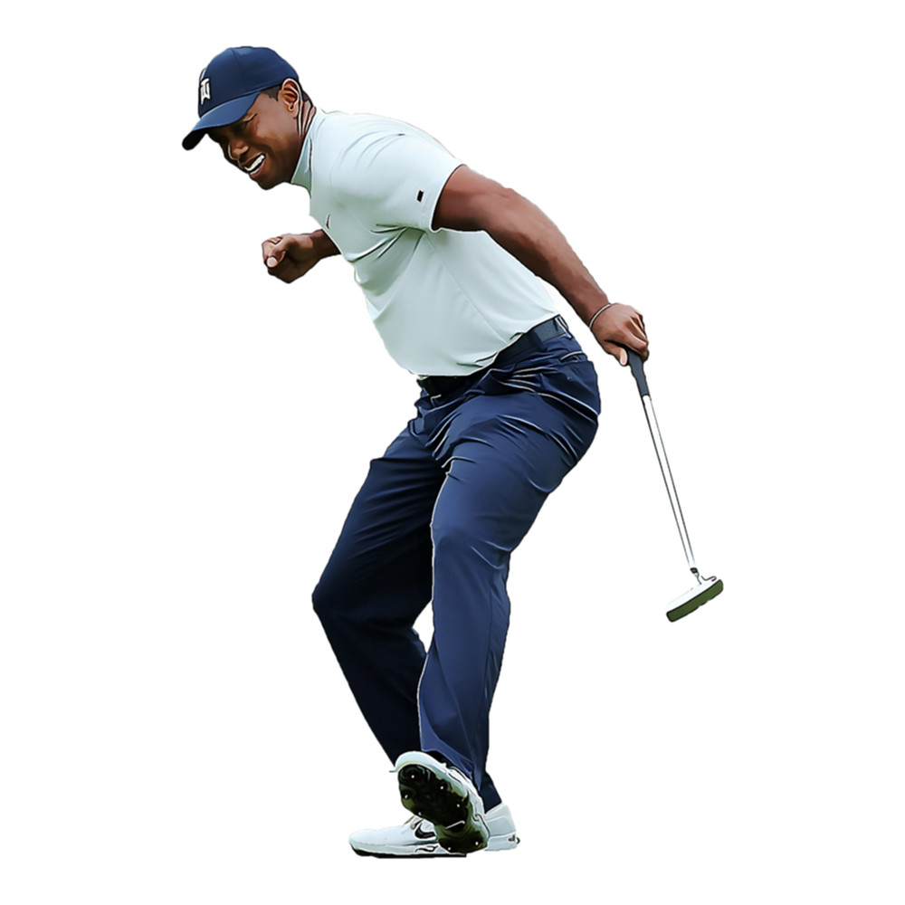 Tiger Woods Hot Painting .png